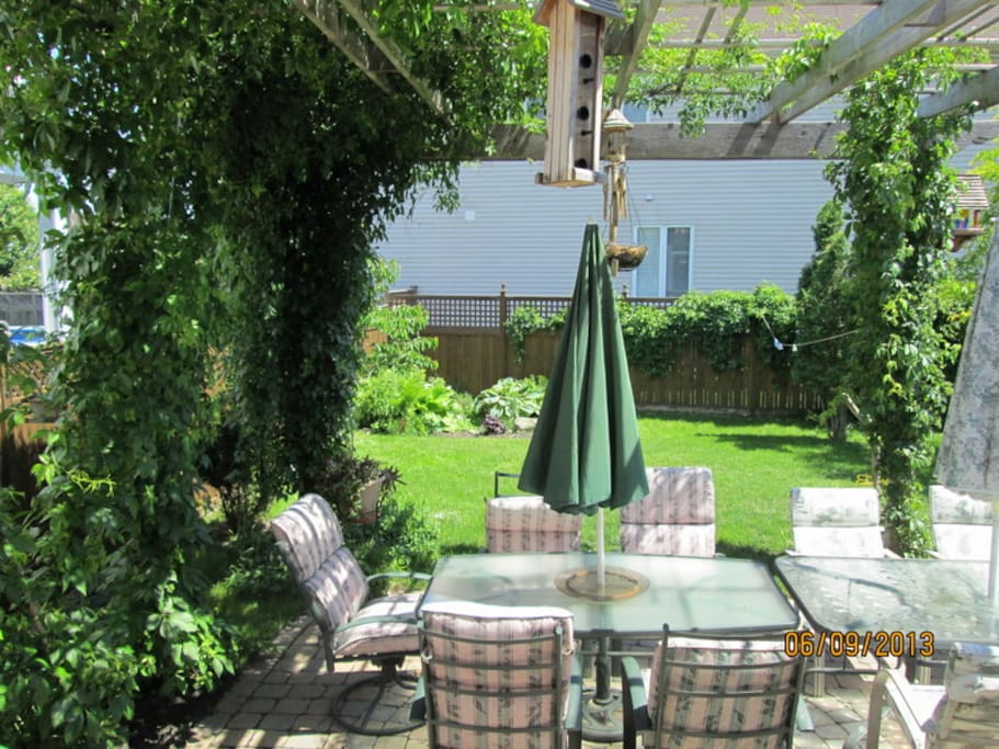 Backyard Patio