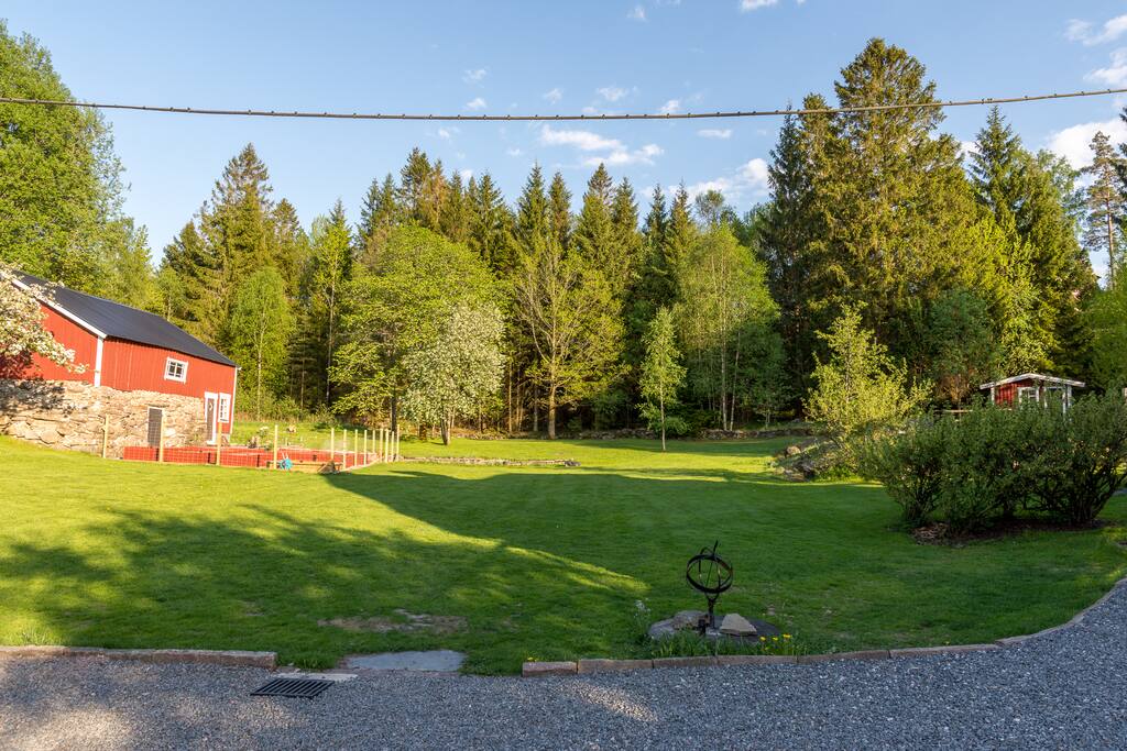 Trädgård
