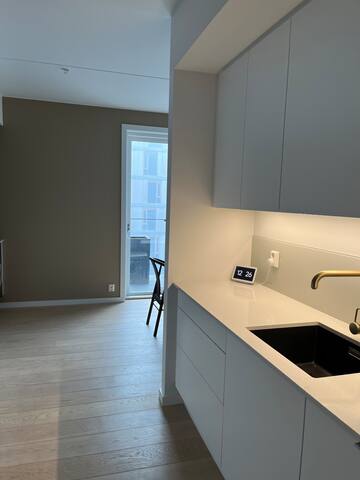 Stunning Sea-View Apartment in the heart of Oslo gallery image 5