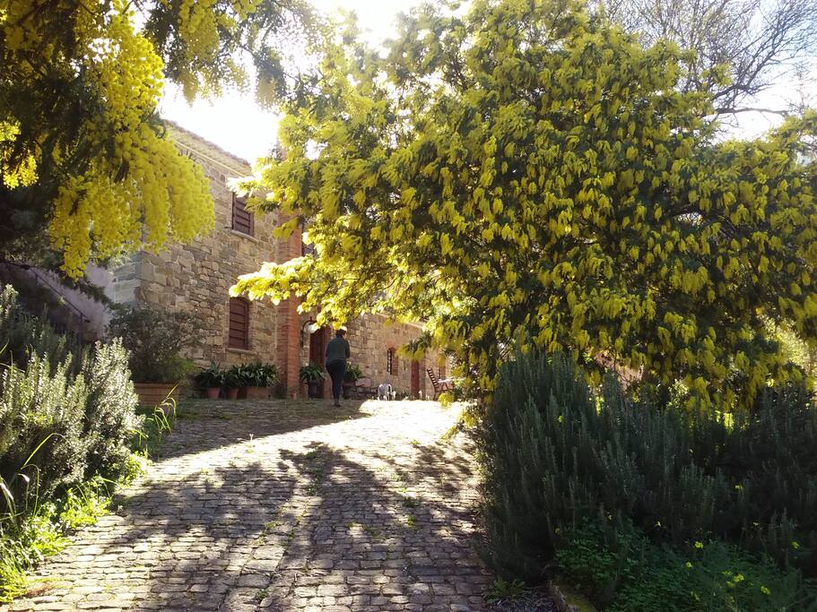 The main house