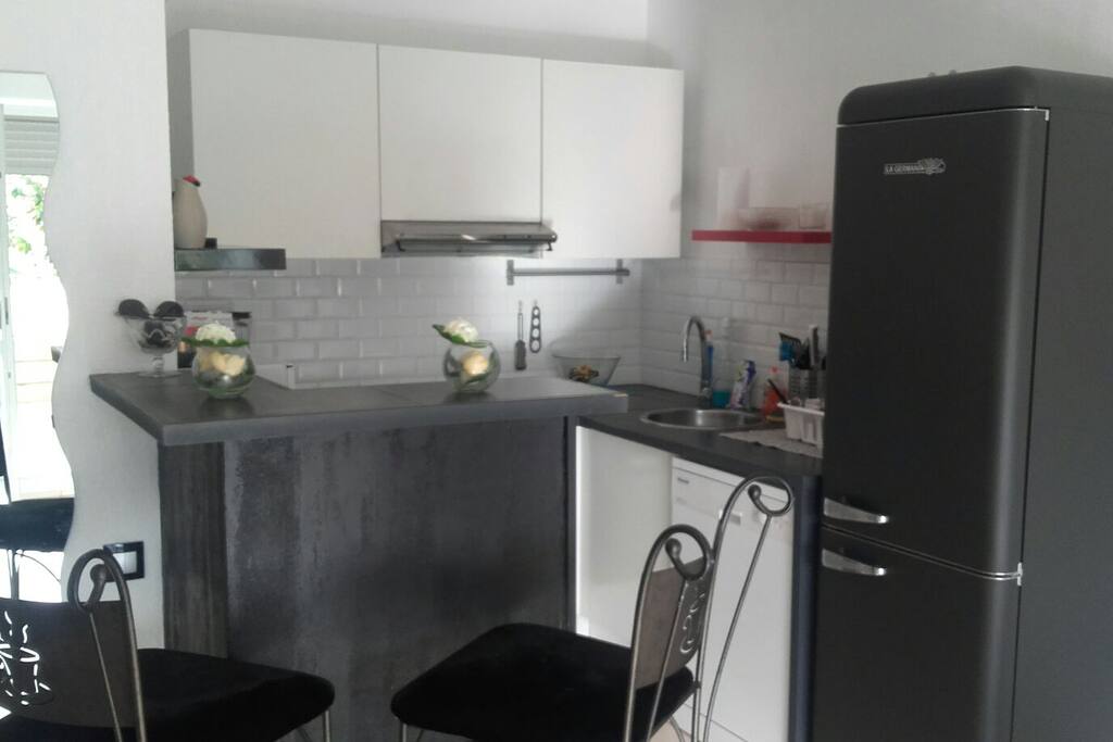 cuisine toute équipée,plaque induction,four,micro ondes,machine à laver,lave vaisselle,machine à café
