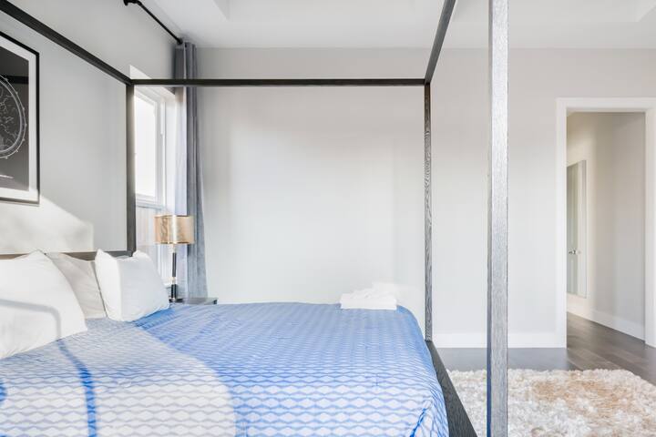 New Single Level Ranch Home by Highland Park with Pool gallery image 3