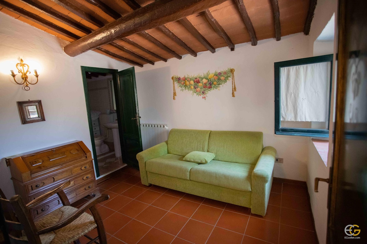 Successful Airbnb property: Apartment in Chianti with beautiful fireplace in Greve In Chianti