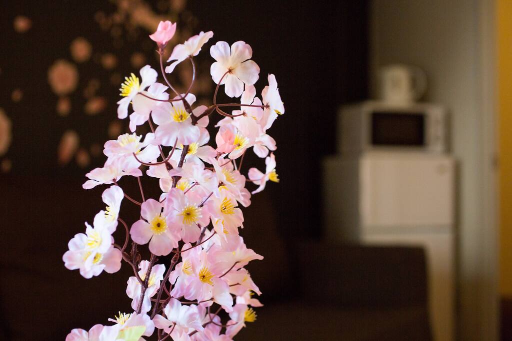 cherry blossoms room / Sakura (桜) room