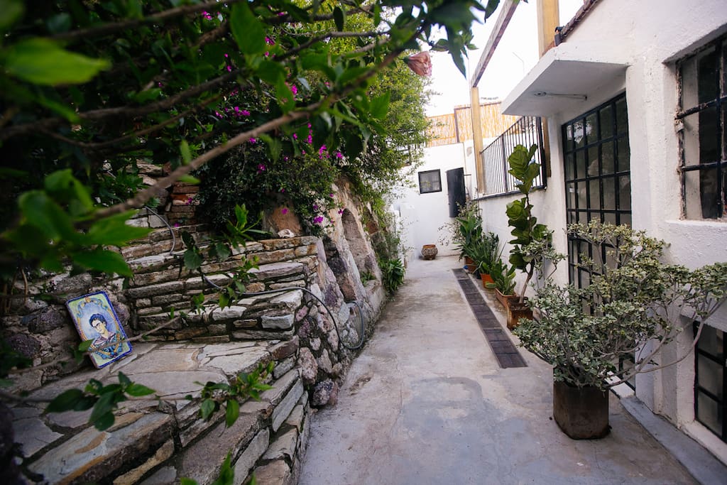 View from the entry garden looking towards the front door to the house (on the right) and the front gate to the property (on the left after the rock wall). There's an upper patio just behind me as well that has seating, soon a hammock, and fantastic views of the city.