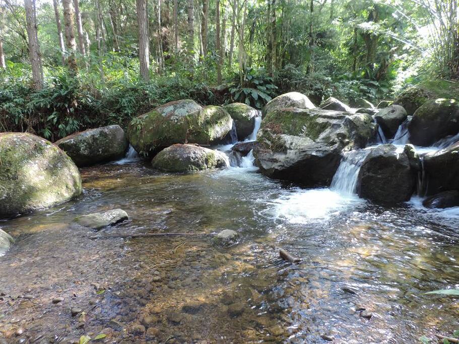 Rio das Couves Acesso exclusivo para hospedes