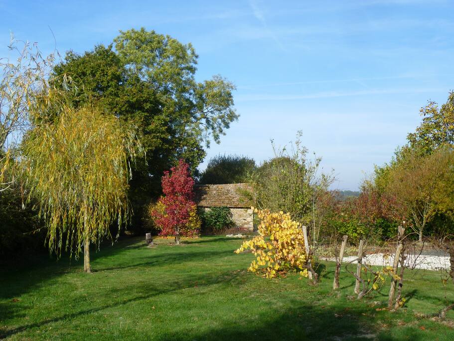 Jardin