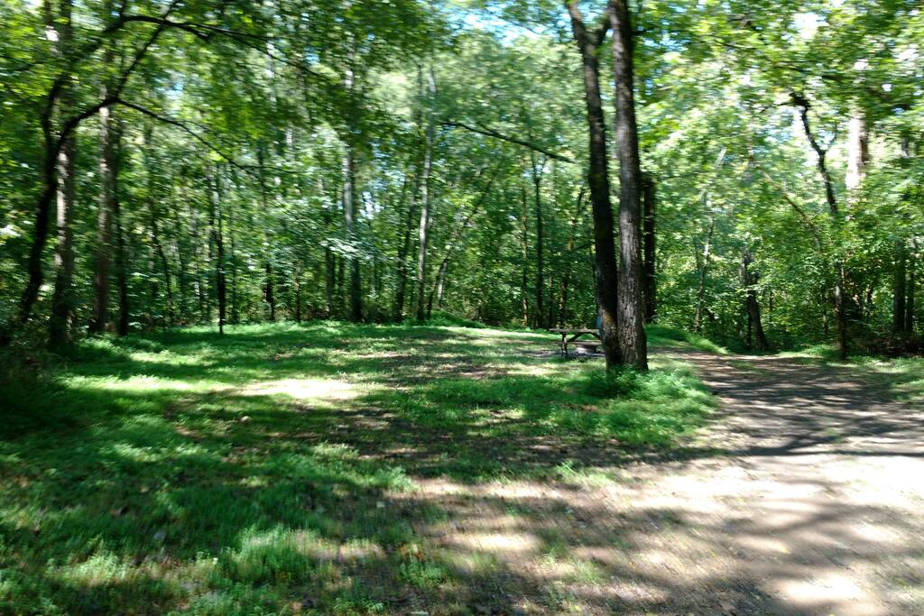 Groomed walking trails