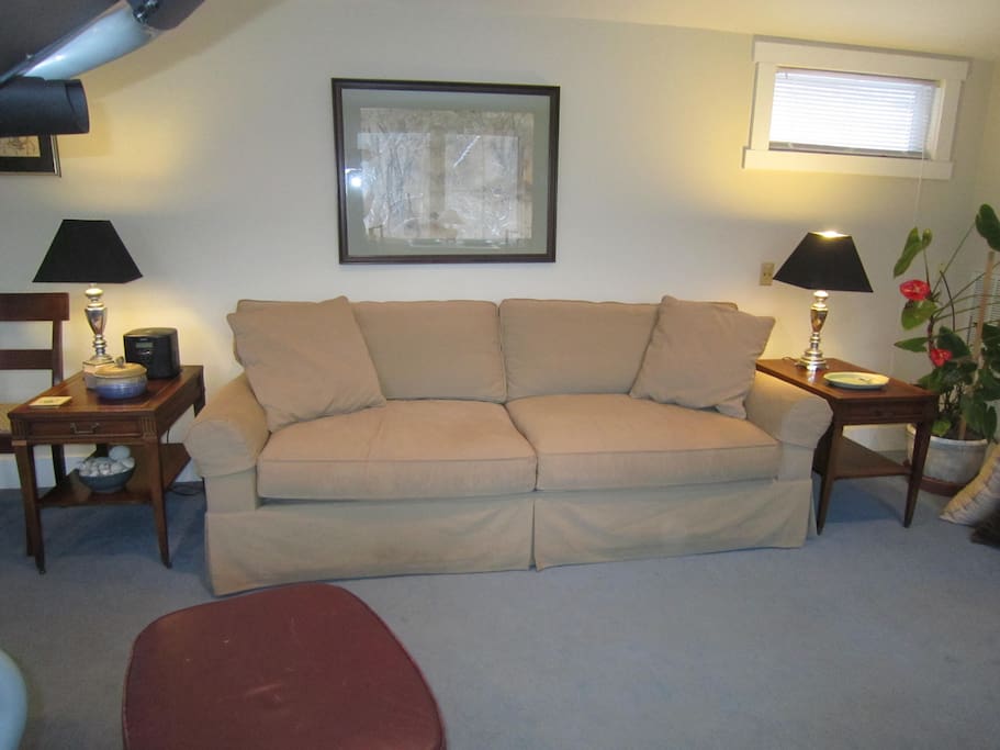 Large sofa-great for naps!