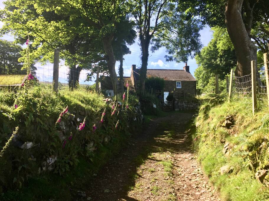 Penrhyn from the bottom of the track