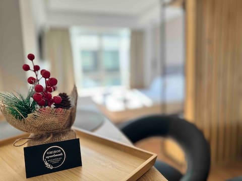 Successful Airbnb property: Omiros apartments Monastiraki306 in μοναστηρακι πλακα