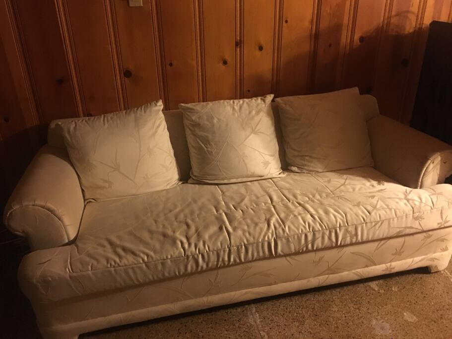Pull out queen sofa