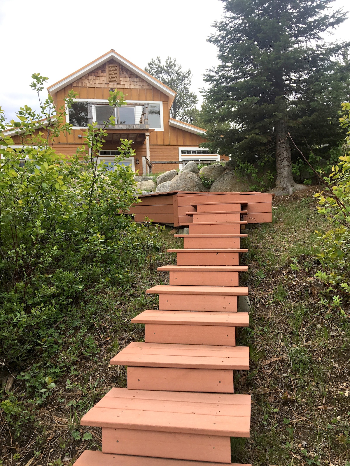 A series of narrow, wooden steps ascend a gentle slope toward a charming home surrounded by greenery. The house features large windows and a welcoming design, integrating naturally with its environment. A tall evergreen tree stands nearby, adding to the outdoor setting.