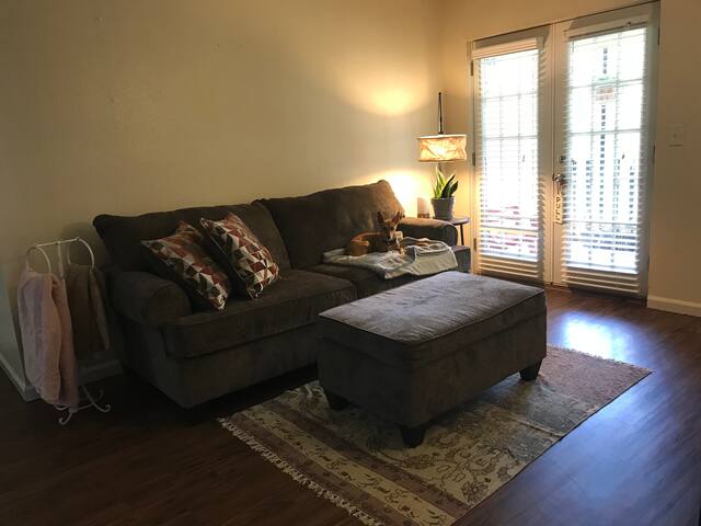 Cozy apartment right next to OU campus