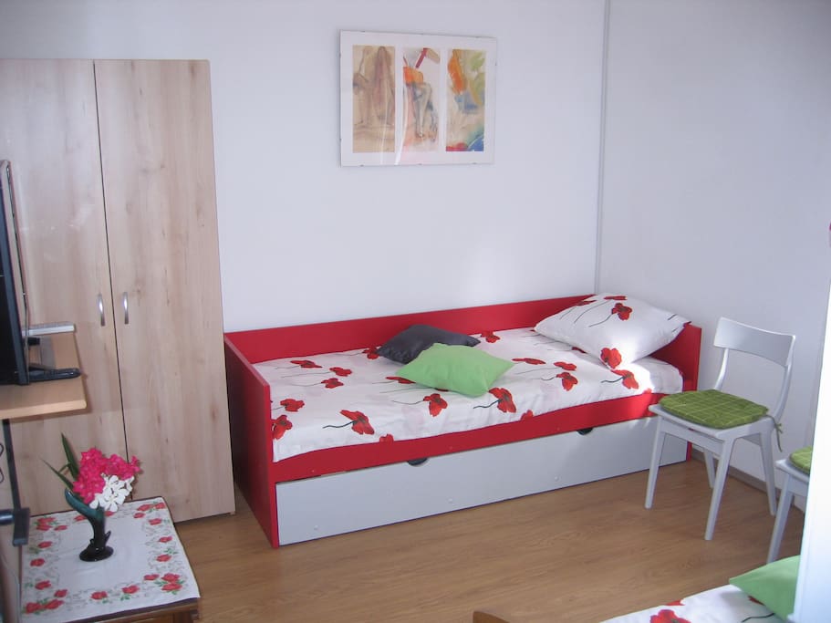 Living and bedroom