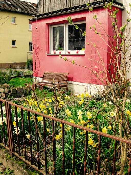 Vorgarten auf der Sonnenseite