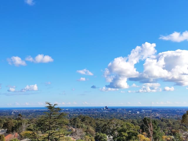 Sweeping city&coastline _ Penfolds Estate_Netflix