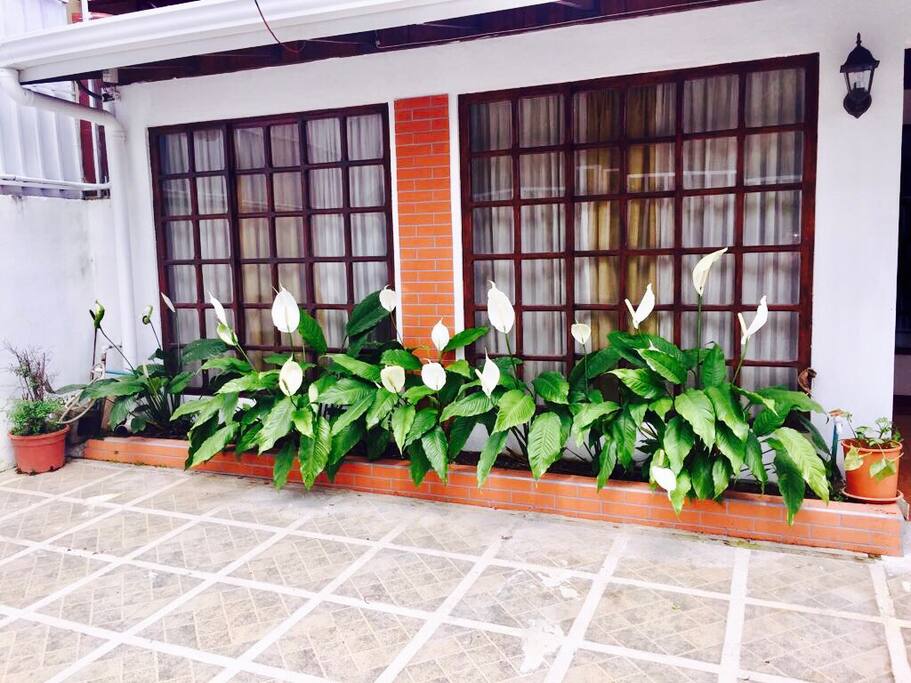 Front of the house