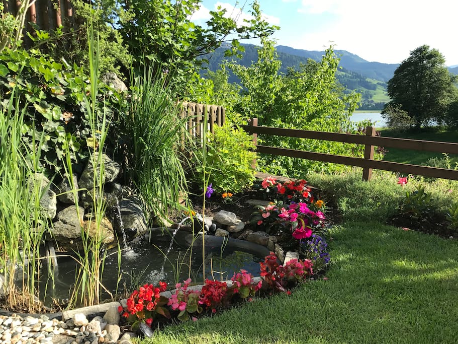 View from the patio with the little garden