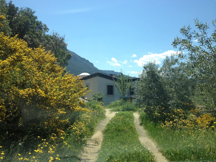 Our House in the Valley of Oddoene in the Countryside Sardinia