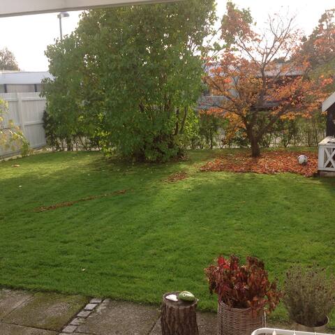 House with small garden close to nature