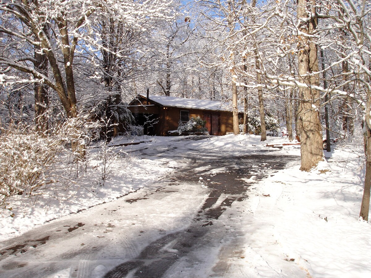A wooden guest house is nestled among tall trees, covered with a layer of snow. The paved driveway leads up to the entrance, framed by snow-dusted branches. A clear sky overhead contrasts with the wintry landscape, enhancing the cabin's serene and secluded setting.