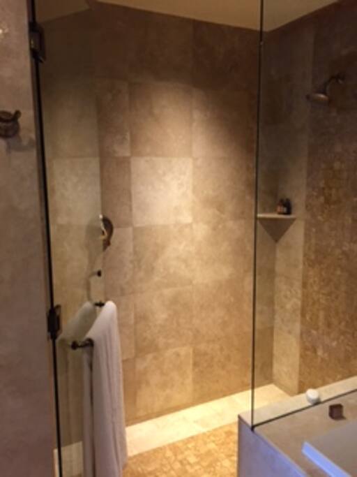 Main bathroom shower