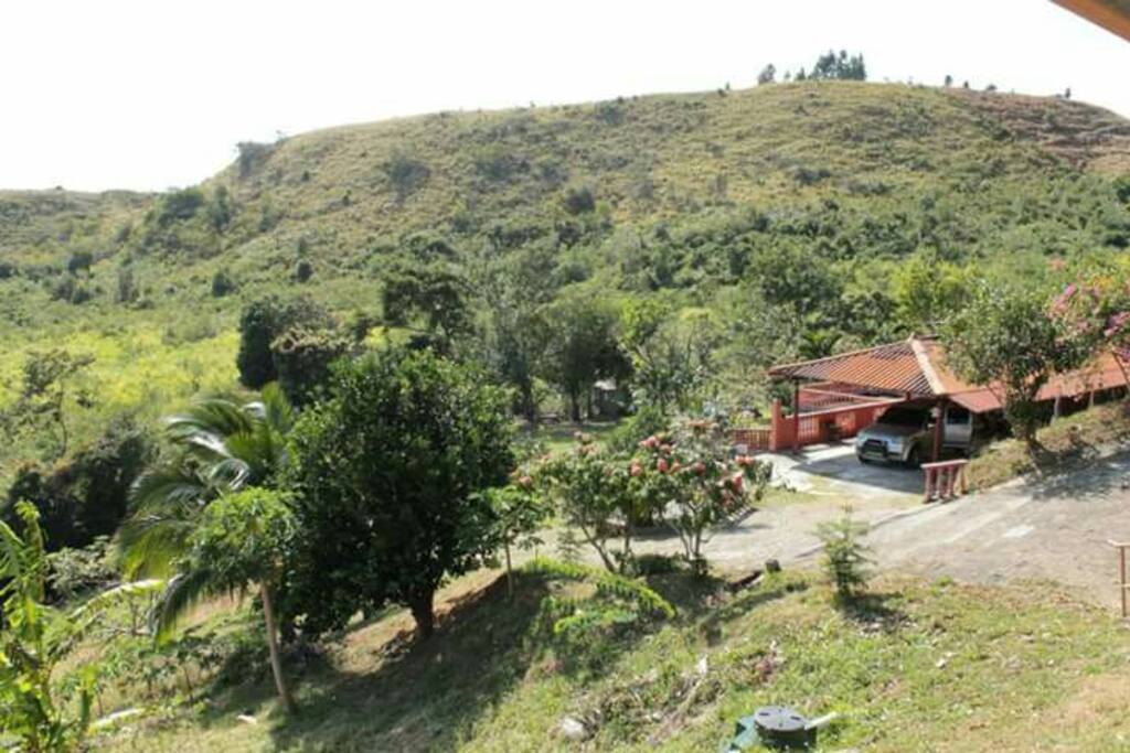 Vista de la propiedad
