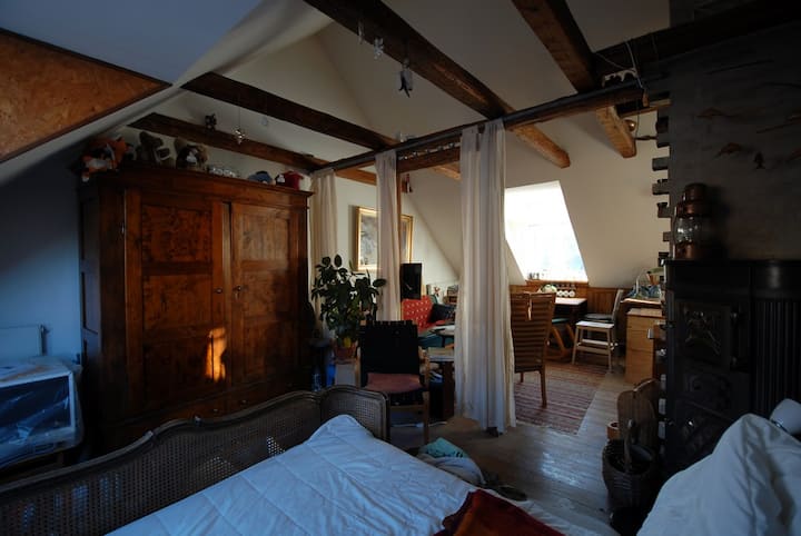 Old and "hyggelig" top townhouse with cheap bikes