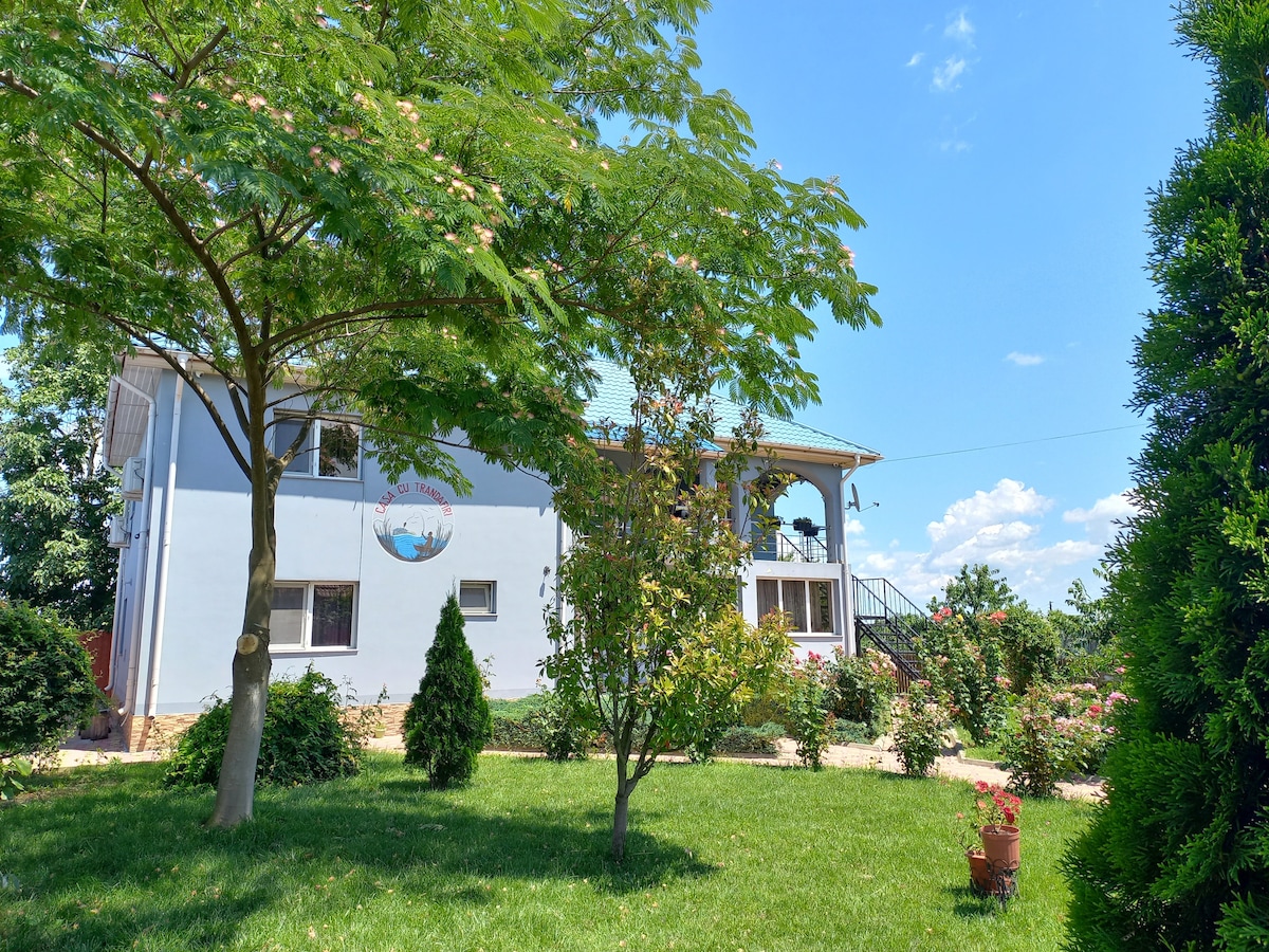 A two-story house is situated amidst a green garden filled with flowering plants and shrubs. Large windows are visible, allowing natural light to enter. The inviting porch leads towards the well-maintained yard, framed by lush trees and a clear blue sky.