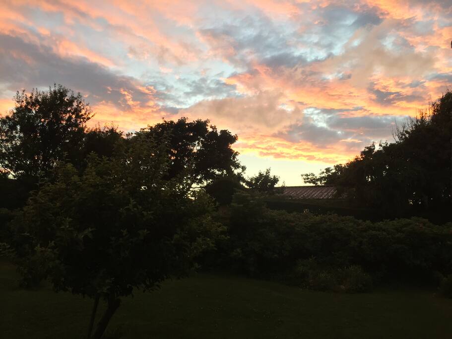 Evening sky seen from the garden.