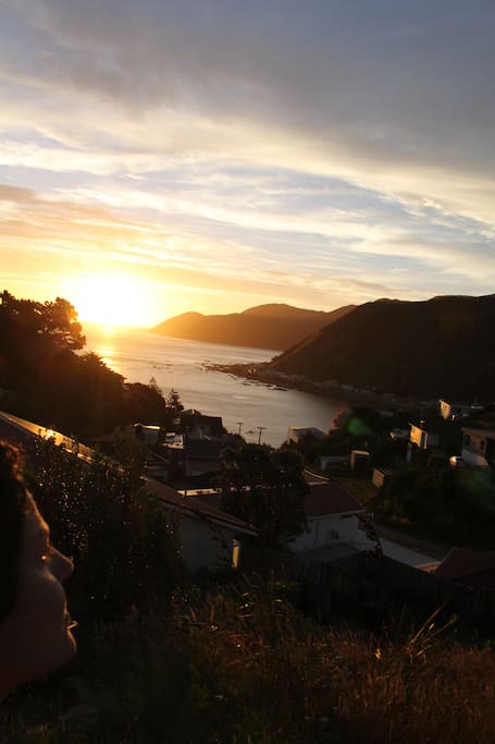 Evening view from deck