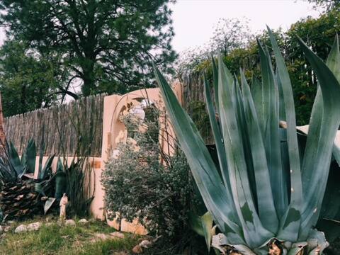 Casa Maya
