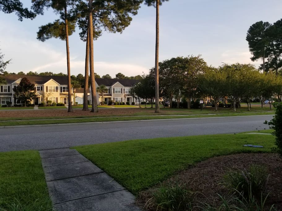 View from Front Porch