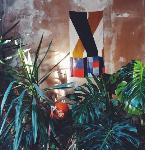 Leafy & Spacious Artists Home. Super Central. gallery image 4