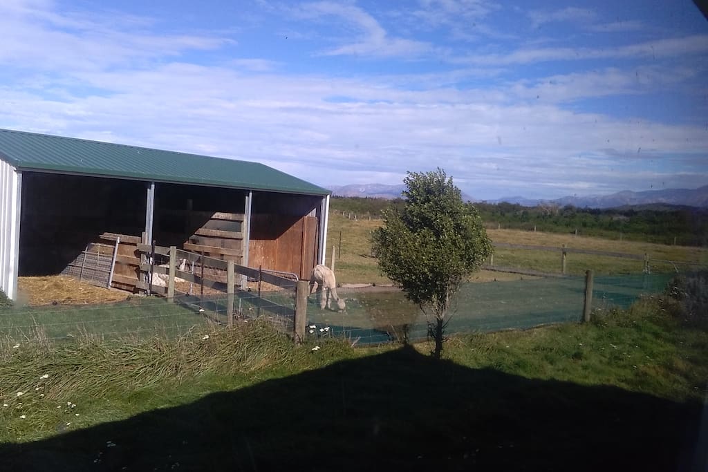 View from the room