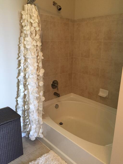 Master bathroom tub
