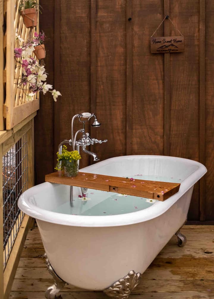 10 Best Airbnb Tiny Houses In Pigeon Tennessee Trip101