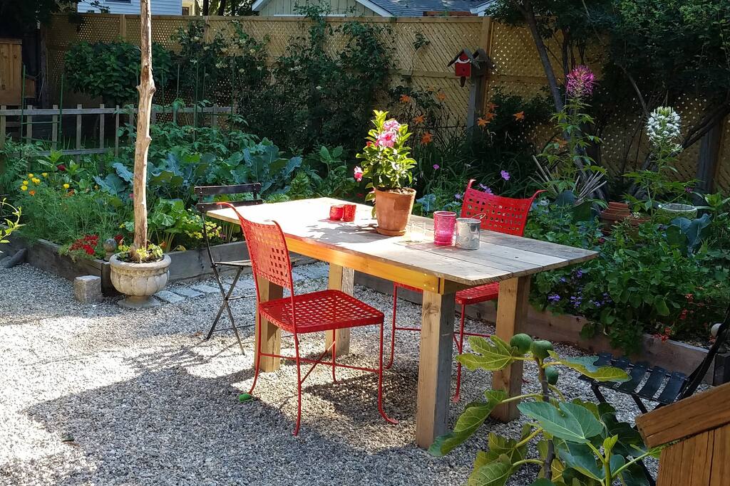 Back yard