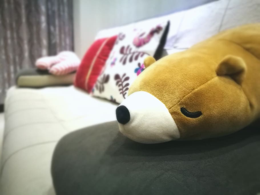 温馨、舒适的环境欢迎您入住!