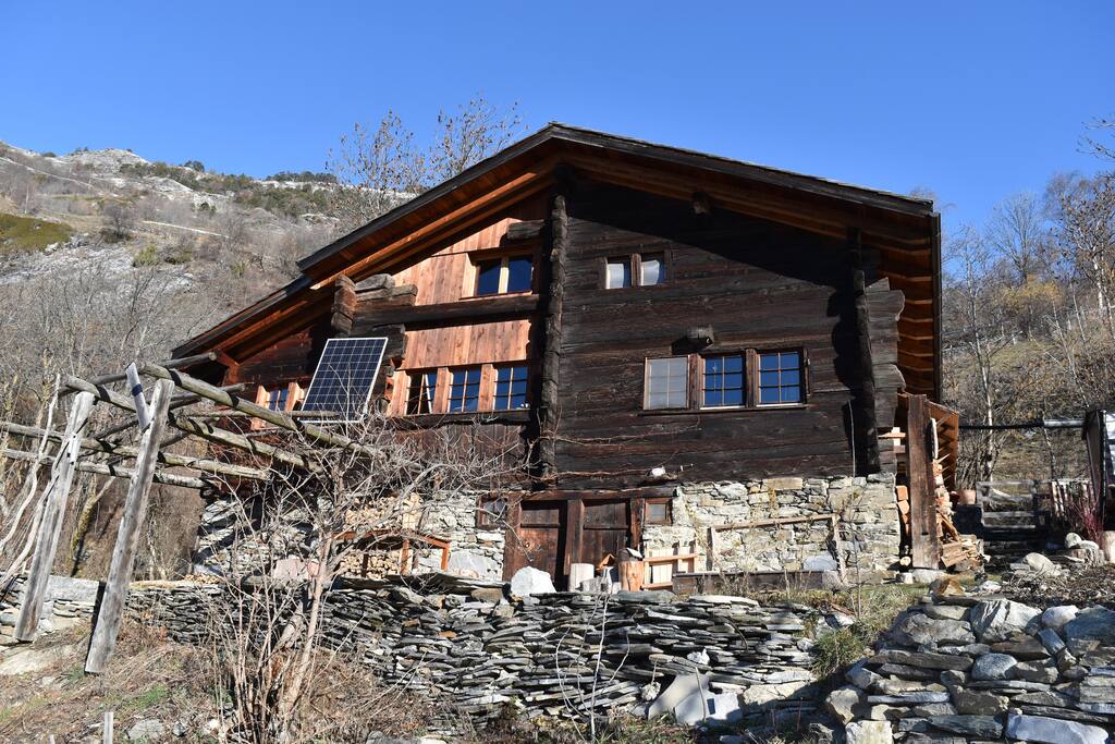 The house in the nature