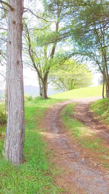 Drive way to Cabin