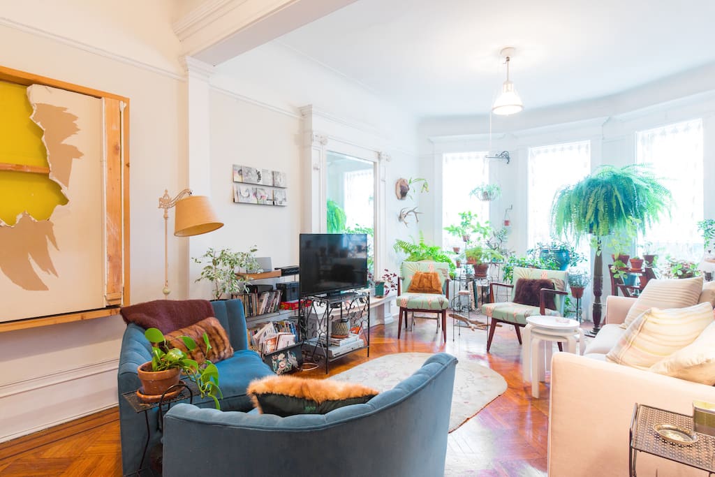 Plants soak up the sun in the living room.