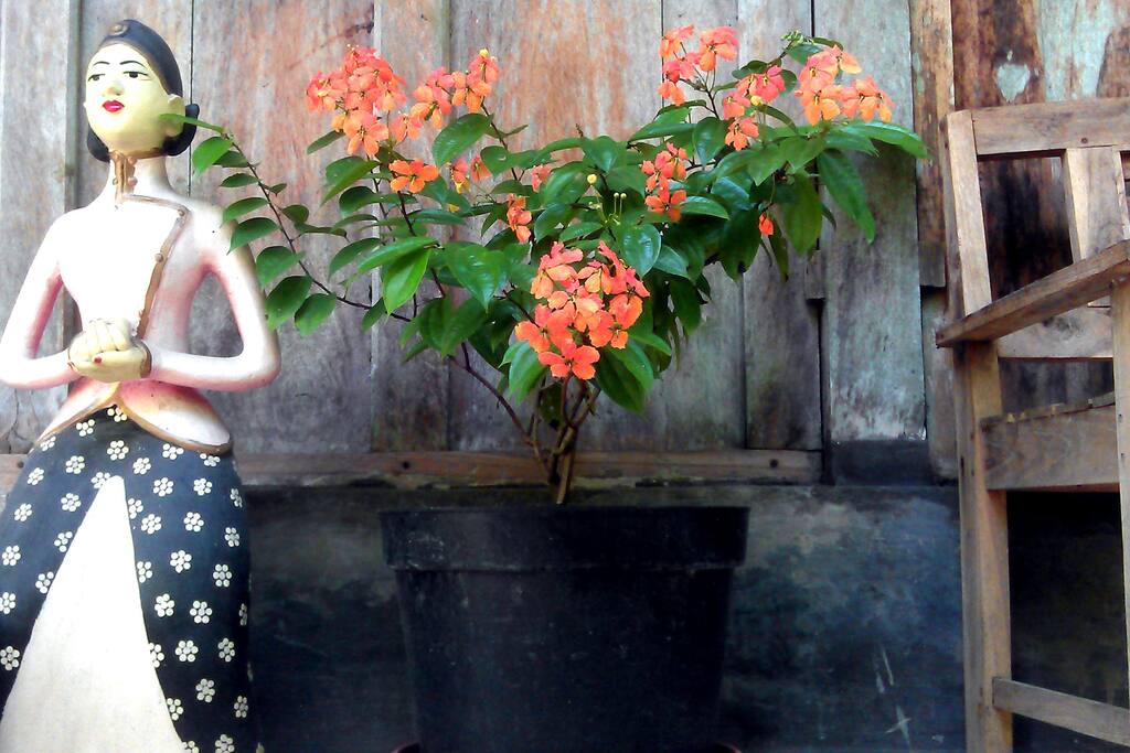 Rumah Limas welcomes you...