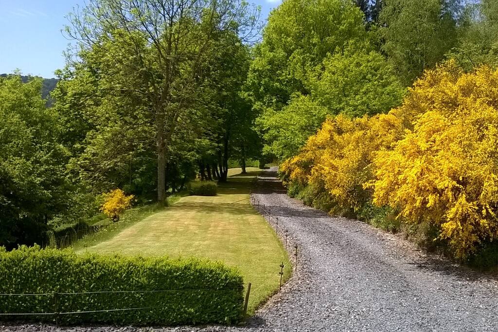 DE OPRIJLAAN VANUIT HET HUIS