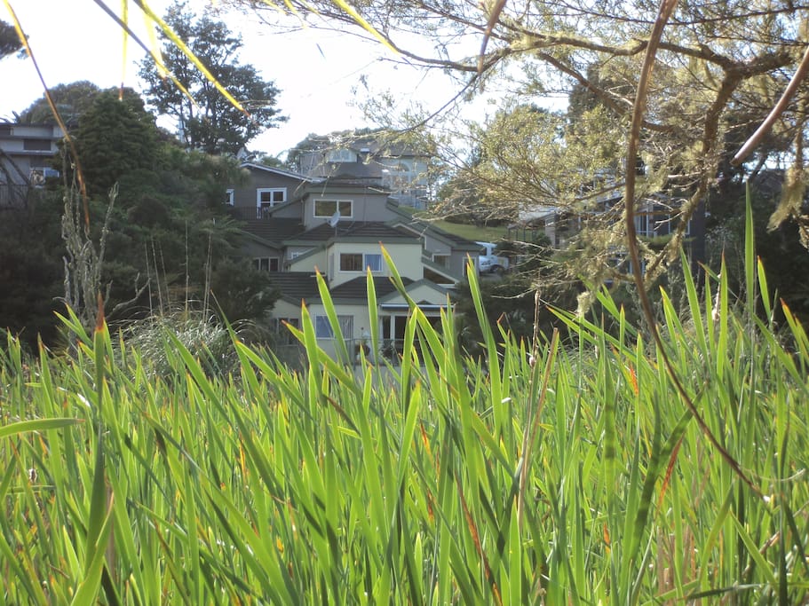 View of house from the other side of the reserve
