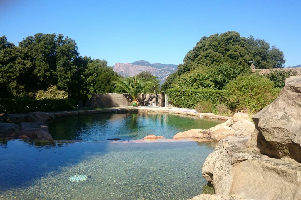 piscine