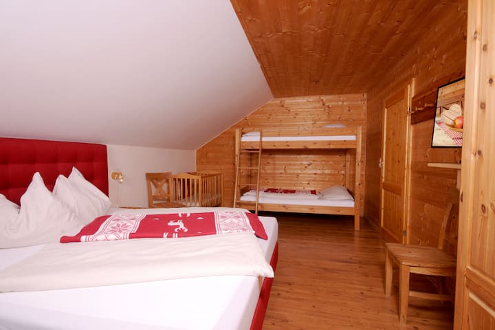 İkimərtəbəli və çoxmərtəbəli çarpayısı, eləcə də televizoru olan ailə otağı