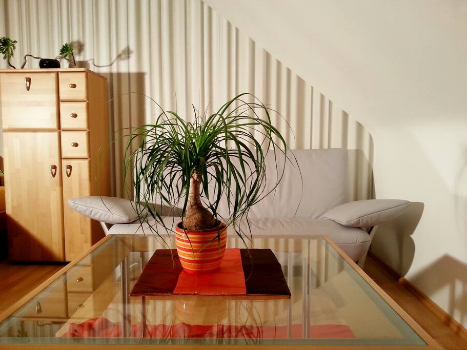 Moderne Design von
Glöckner
Hochqualität Möbel