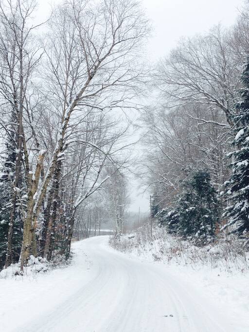 End of driveway is ... Trail 55